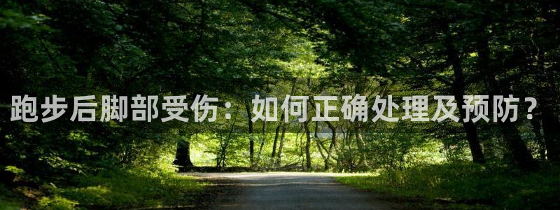 321体育五大联赛